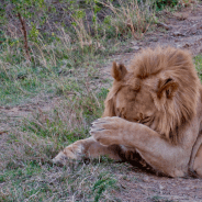 It is Time: Thoughts on My New Relationship with Time