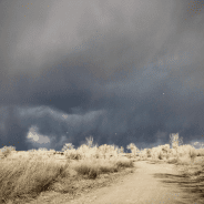 Embracing the Winter Skies