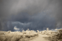 Embracing the Winter Skies