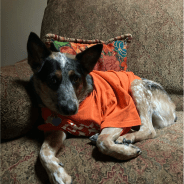 Loss of a Different Kind